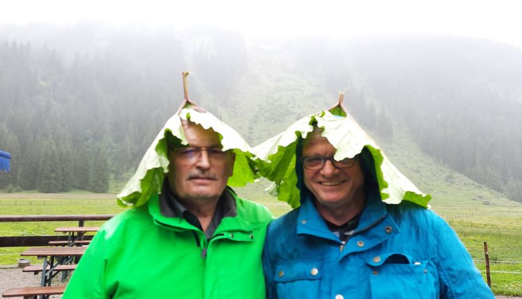 Sommer-Fuchshof Senioren