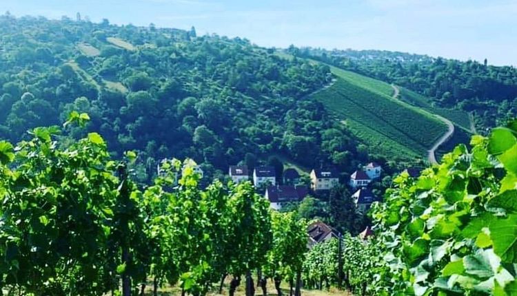 Rössleweg 1. Etappe