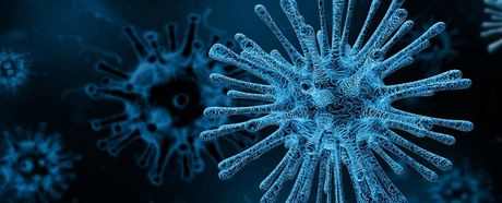 Prävention ist keine Hysterie und Ignoranz kein Mut!