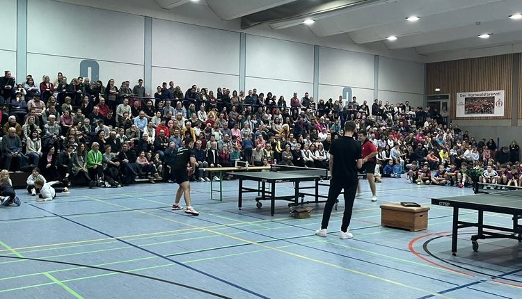 Hallensportfest 2023