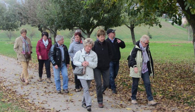 Jetzt online zur Wanderung zum Wein anmelden!