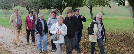 Jetzt online zur Wanderung zum Wein anmelden!
