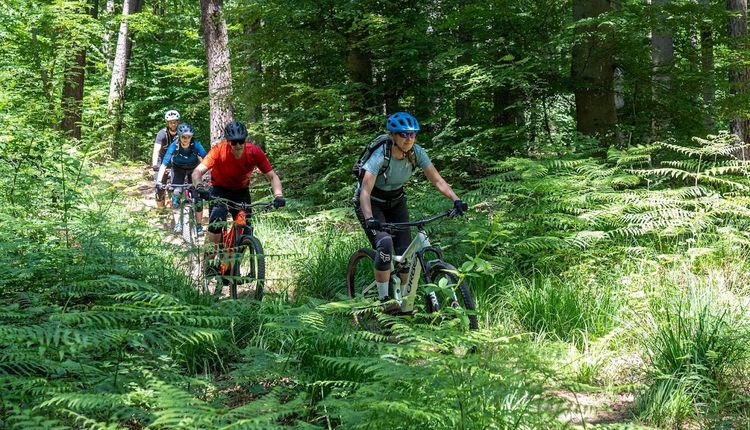 Fahrsicherheitstraining mit dem eBike 14.05.2022 - Jetzt anmelden