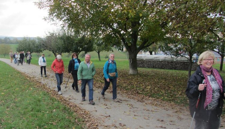 Wanderung zum Wein
