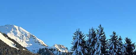 Kaiserwetter am Fuchshof-Wochenende