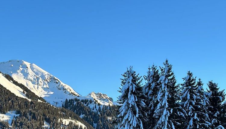Kaiserwetter am Fuchshof-Wochenende